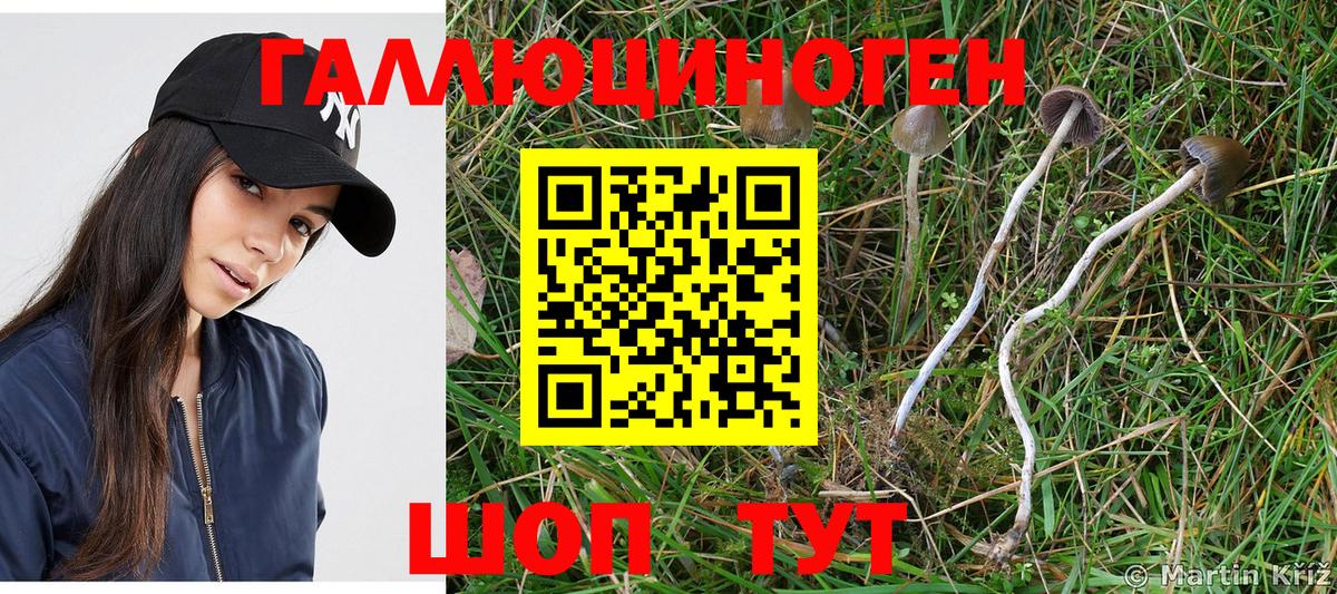 Псилоцибиновые грибы мухоморы  Вход с VPN  Донской 