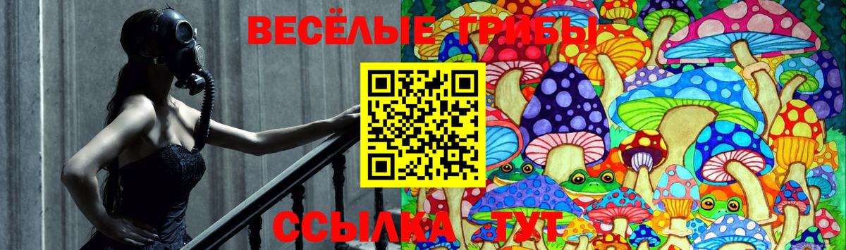 Галлюциногенные грибы прущие грибы Донской